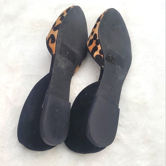 STEVE MADDEN | Vamp Leopard Print Calf Hair Almond Toe Flats - Picture 4 of 5